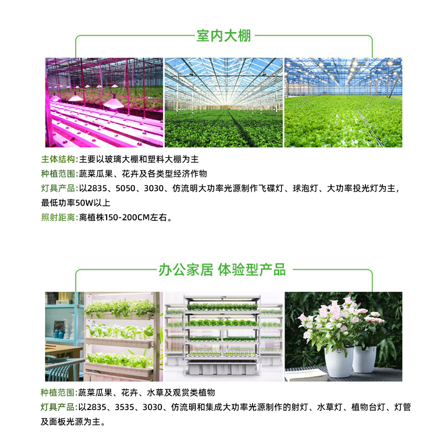 場景-1.jpg